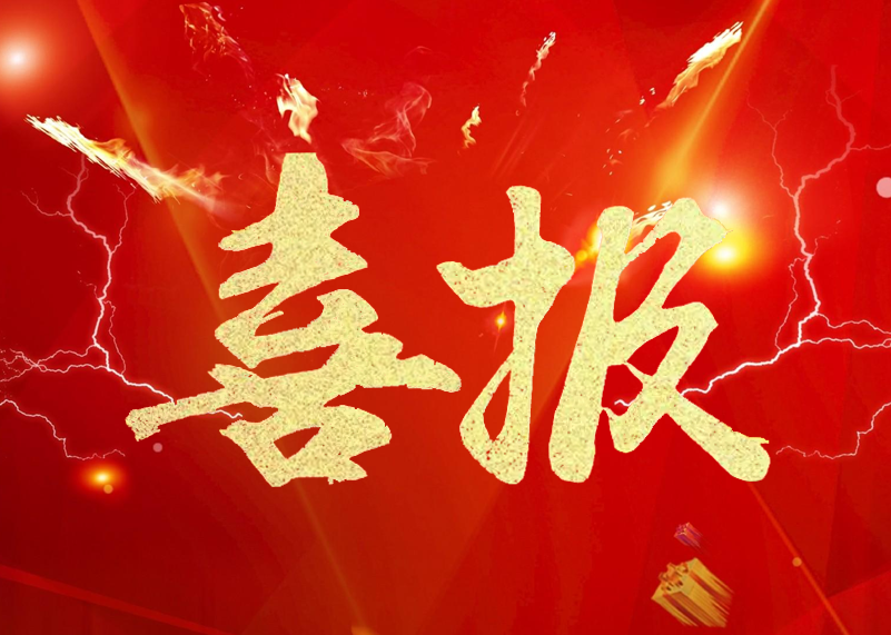 喜报 | Lewin乐玩官网显示荣膺LED显示屏行业2019年知名品牌